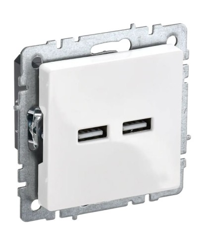 Розетка USB A+A 3,1А РЮ10-1-БрБ белый BRITE (BR-U21-D31-K01). Розетка USB. IEK в Махачкале