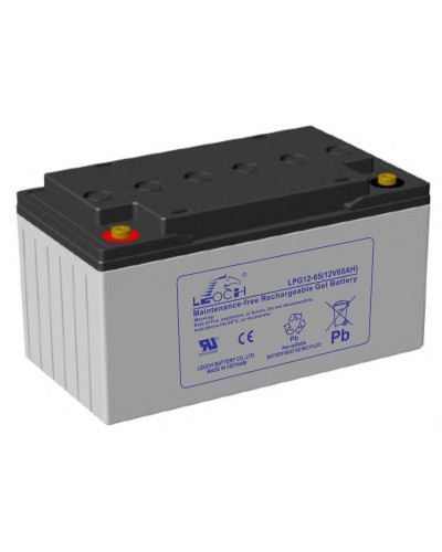 LEOCH LPG 12-65. Аккумулятор герметичный свинцово-кислотный. LEOCH в Махачкале