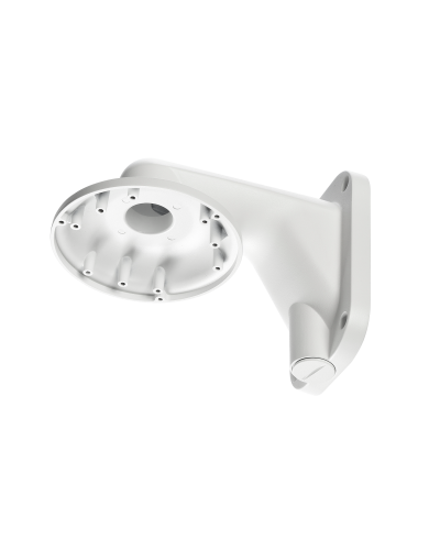 RVi-1BWM-5 white. Кронштейн настенный. RVi в Махачкале