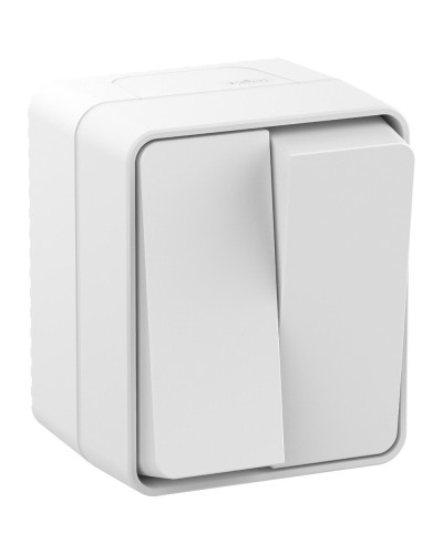 AtlasDesign PROFI54 выключатель 2-клавишный, открытой установки, белый (ATN540151). Выключатель. Systeme Electric в Махачкале