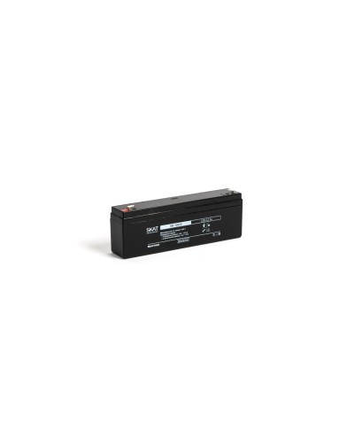 SKAT SB 12022 (2539). Аккумулятор герметичный свинцово-кислотный. Бастион в Махачкале
