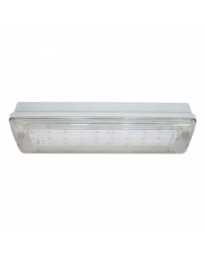 SL-223-30LED1.8 исп.1 IP54. Светильник аварийного освещения. ИП Раченков А.В. в Махачкале
