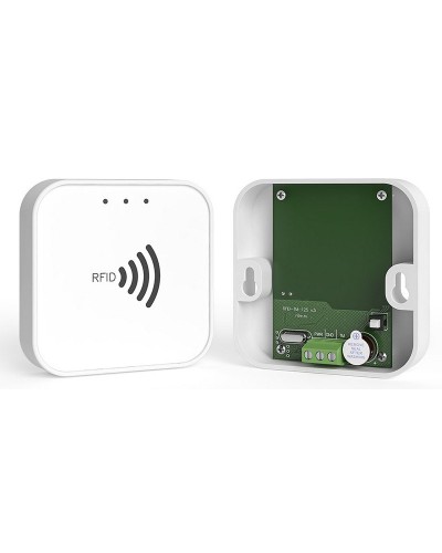 RFID-TM. Считыватель RFID. Ритм в Махачкале