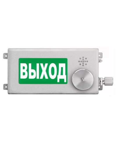 ТСВ-Exm-Н-Прометей-МИНИ 220В ВЫХОД. Оповещатель охранно-пожарный световой взрывозащищенный (табло). Спектрон НПО в Махачкале